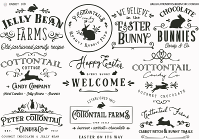Producto - RABBIT 10B A3