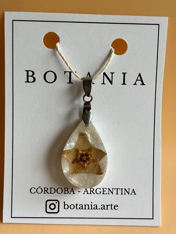 Producto - Variedad 14 Nácar