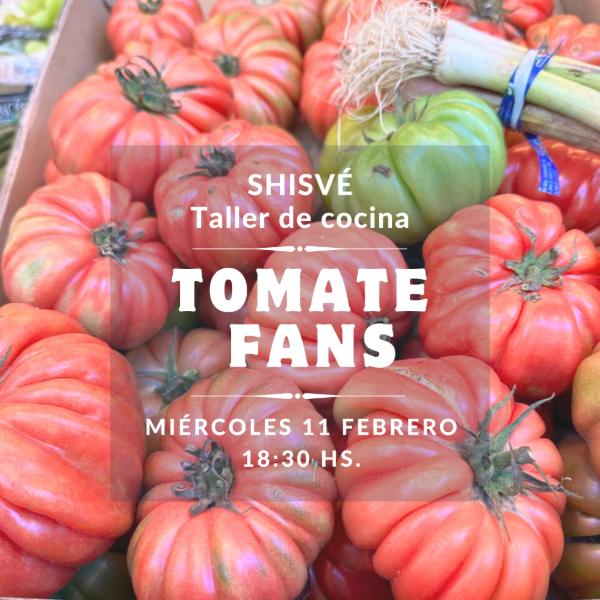 Producto - TOMATE fans