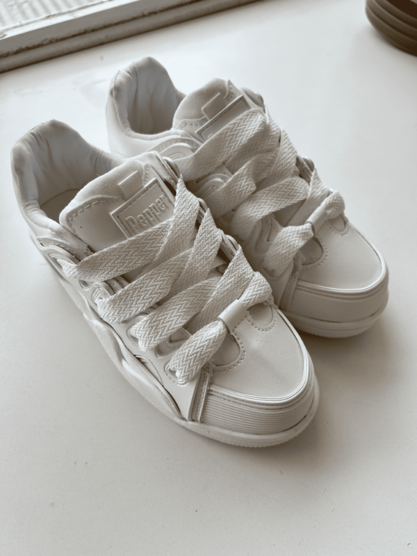 Producto - TAYLOR
