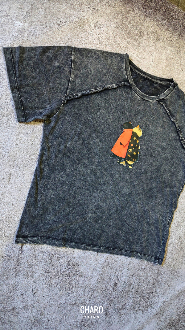 Producto - REMERA WASHED DUALCAT