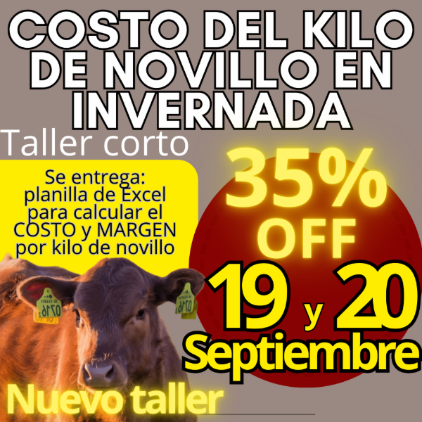 Producto - Taller corto: cálculo del costo del kilo de novillo - 0