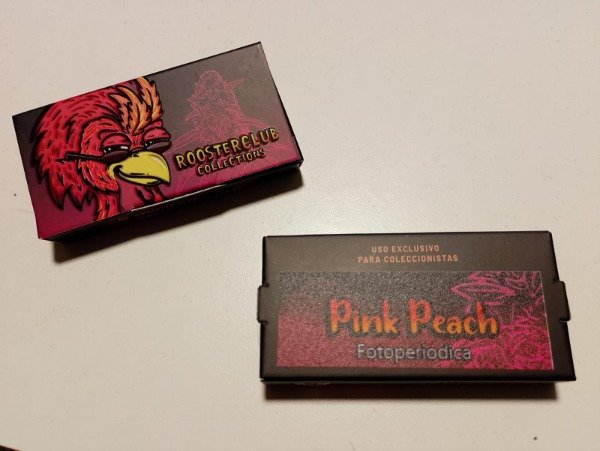 Producto - SEMILLAS FOTOPERIÓDICAS "PINK PEACH" x3 - ROOSTER CLUB