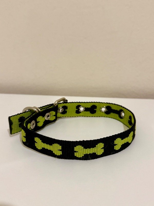 Producto - collar nylon verde