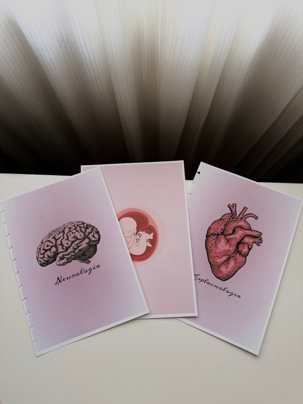 Producto - Separadores x3 #1