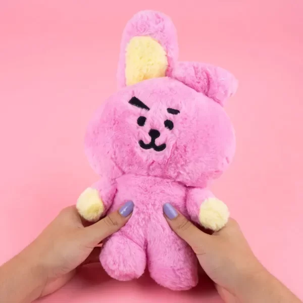 Producto - PELUCHE COOKY MINISO