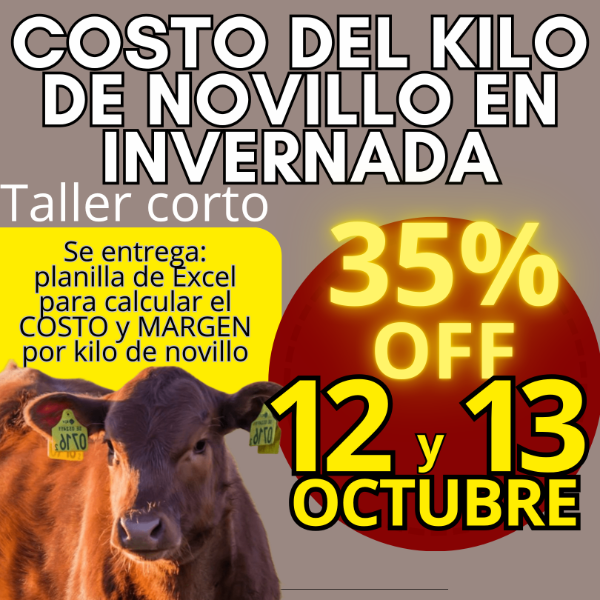 Producto - Taller corto: cálculo del costo del kilo de novillo - 0
