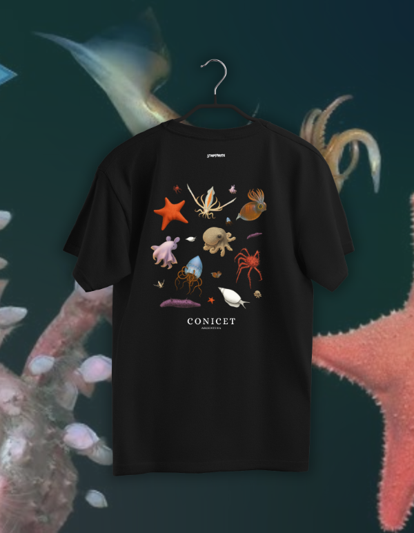 Producto - Remerón BICHITOS - CONICET