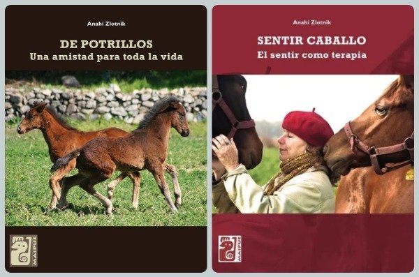 Producto - De Potrillos + Sentir Caballo
