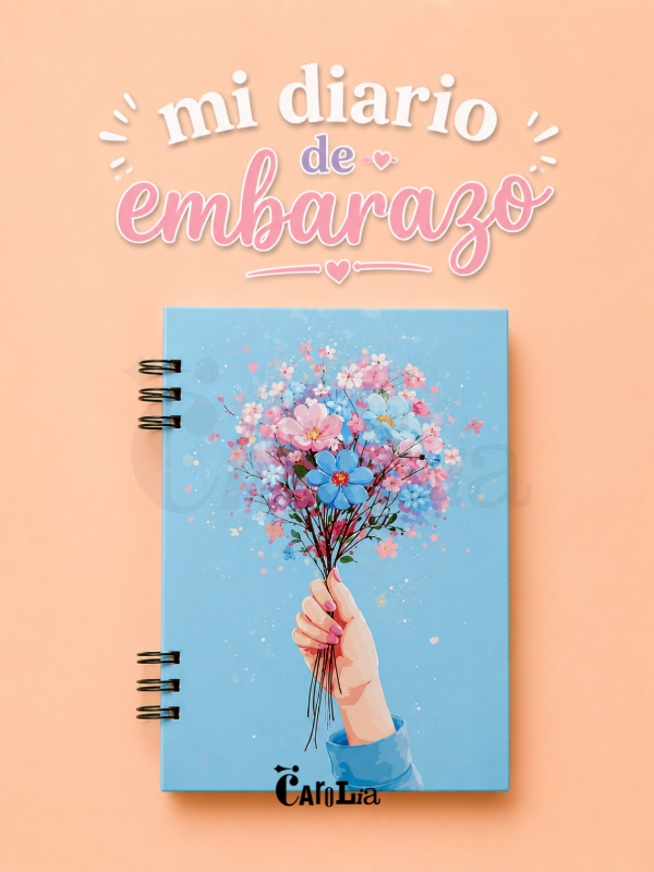 Producto - Diario de Embarazo - 0