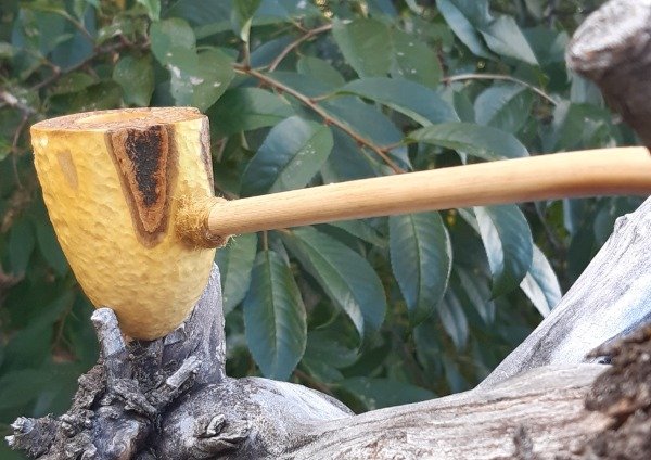 Producto - gandalf patagonica