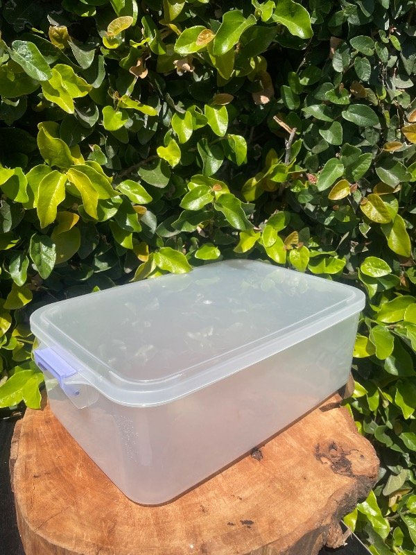 Producto - Tupper con trabas