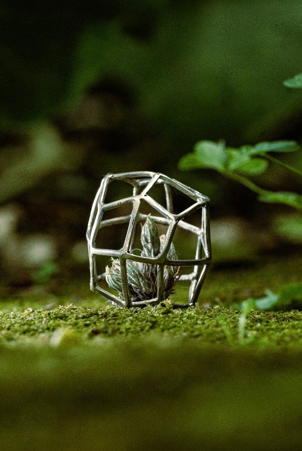 Producto - Liquen cordobés en dodecaedro de plata