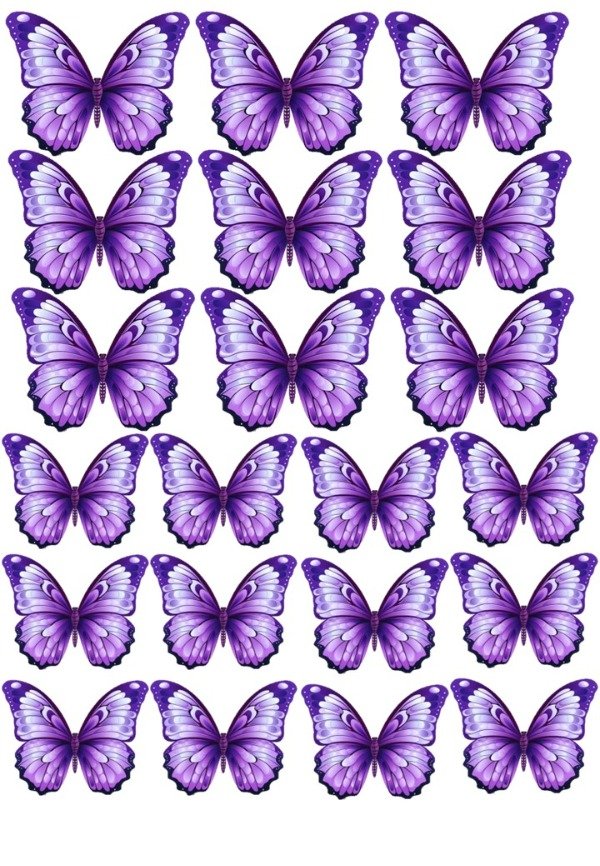 Producto - LAMINA MARIPOSA LILA 7