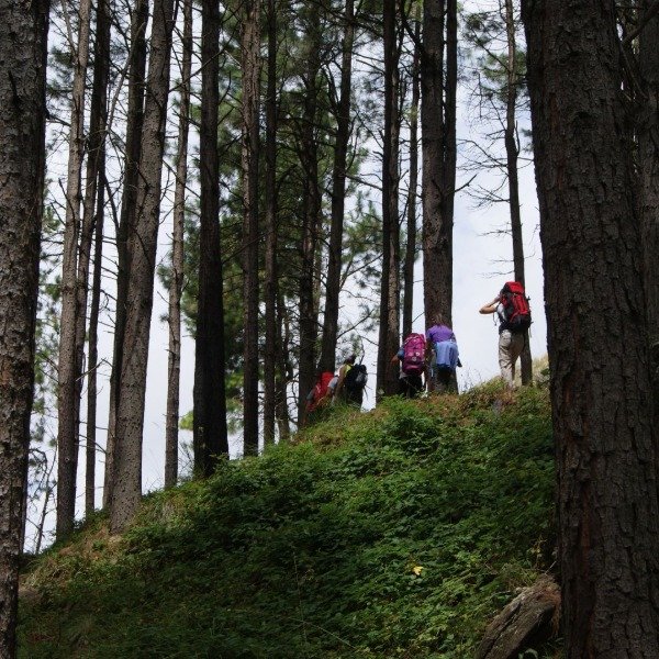 Miniatura de producto - 10