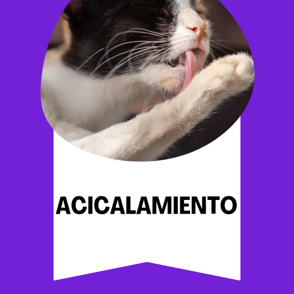Producto - Acicalamiento