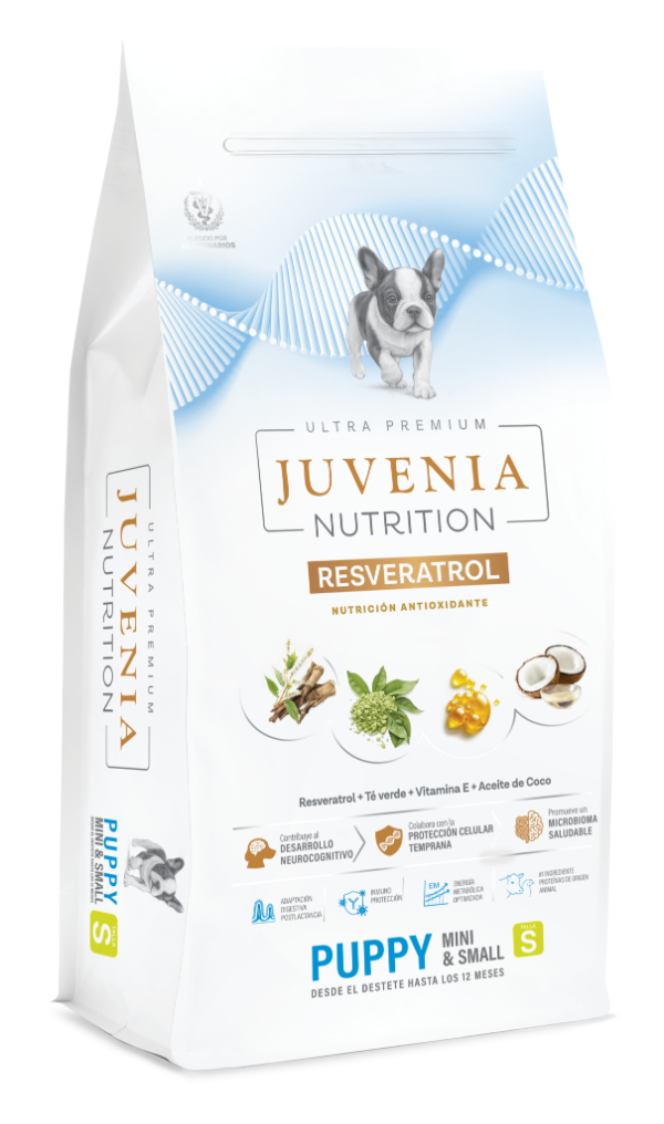 Producto - Juvenia Perro Puppy Mini y Small 1 Kg - 0