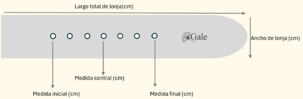 Producto - Cinturón hebilla rectangular níquel texturada