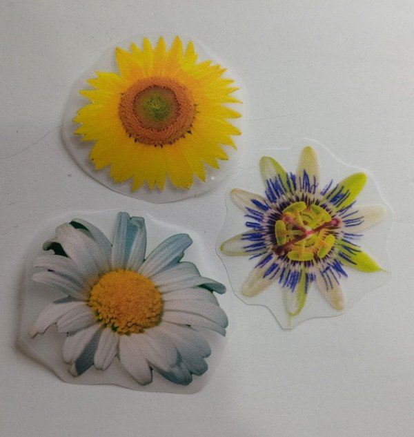 Producto - Apliques Termoadhesivos Flores
