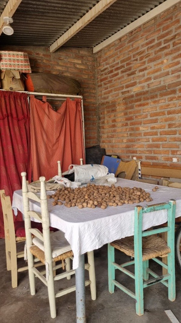 Miniatura de producto - 9