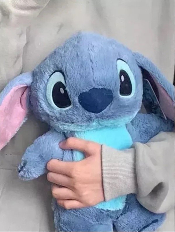 Producto - Bolsa de Agua importada Stitch