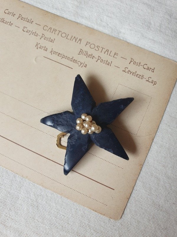 Producto - Clip de Vestido Art Déco Estrella de Baquelita Negra