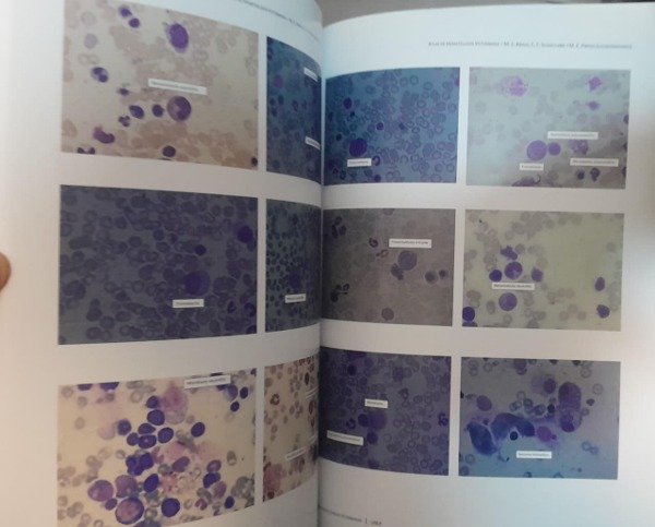 Producto - Arauz: Atlas de Hematología Veterinaria - 3