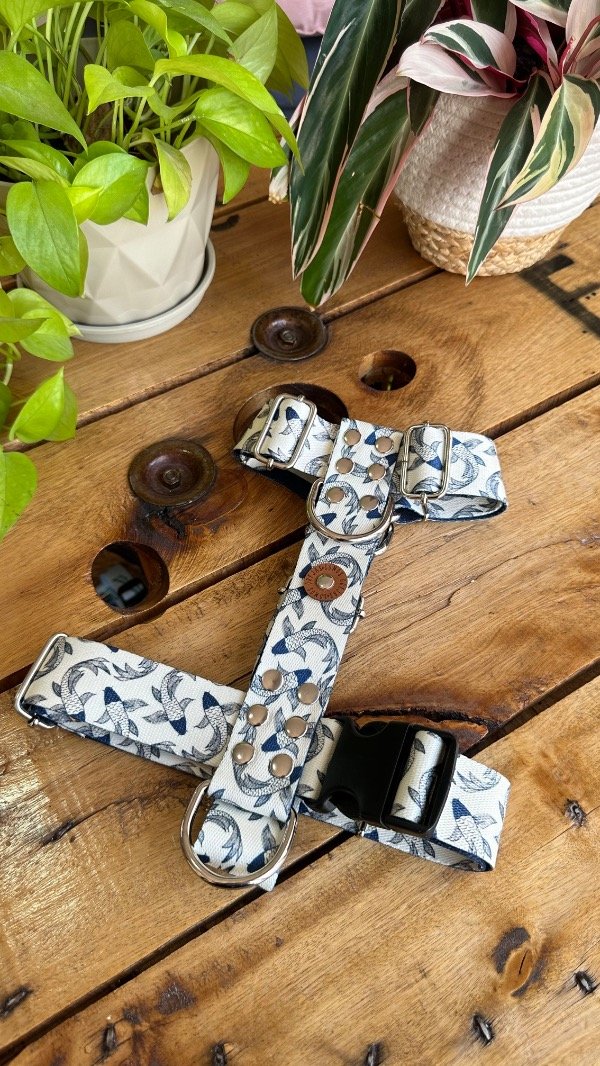 Producto - Pretal H Koi Reforzado