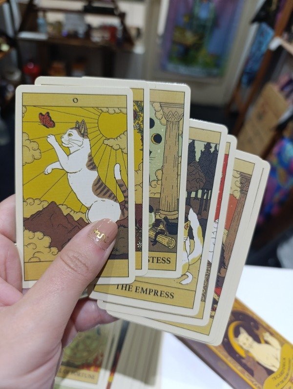 Producto - Tarot Cats rule