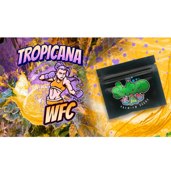Producto - Sweed Lab - Tropicana WFC x4