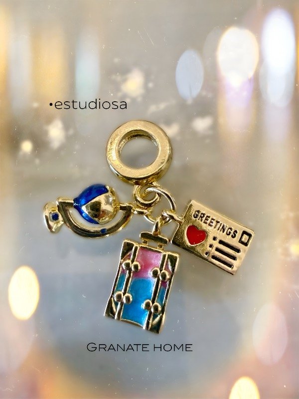 Producto - Charms para pandora - 8