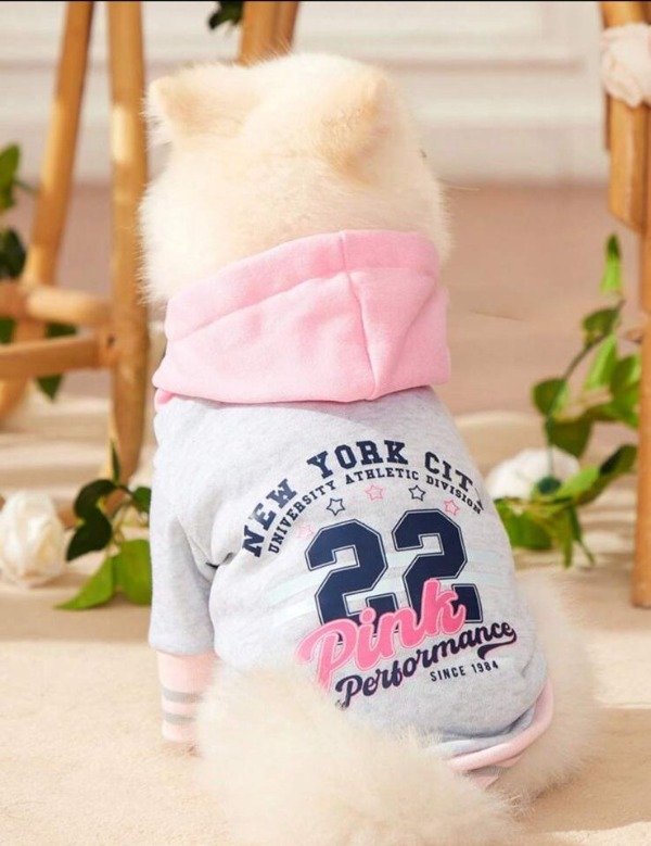Producto - Campera universitaria