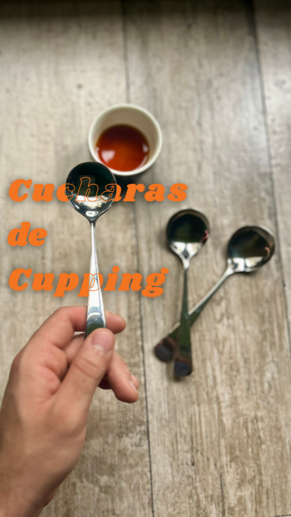 Producto - Cuchara de Cupping