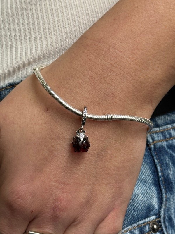 Producto - Dije Plata 925 - charmm
