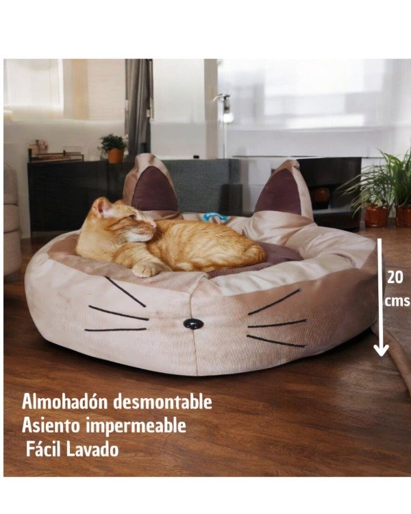 Producto - Camita para Gato Anti- Desgarro