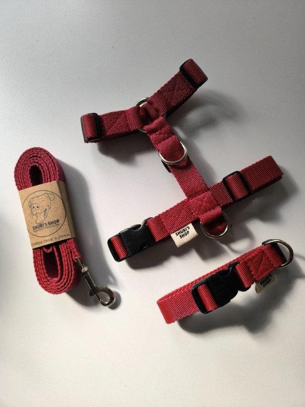 Producto - Set Liso TALLE XL - PRETAL+COLLAR+CORREA