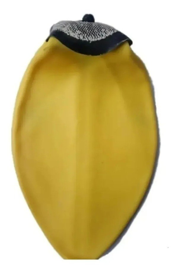 Producto - CAMARA DE PELOTA