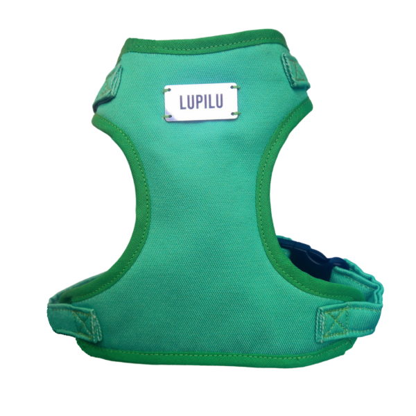 Producto - Pechera VERDE - 1