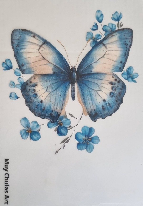 Producto - Mariposa5