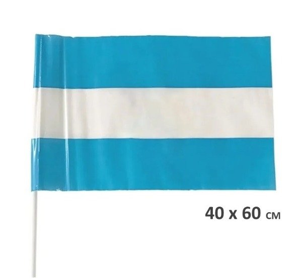 Producto - BANDERA PLASTICA ARGENTINA 40x60cm.