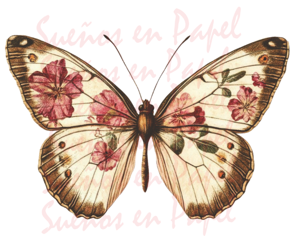 Producto - Lamina DTF DB31