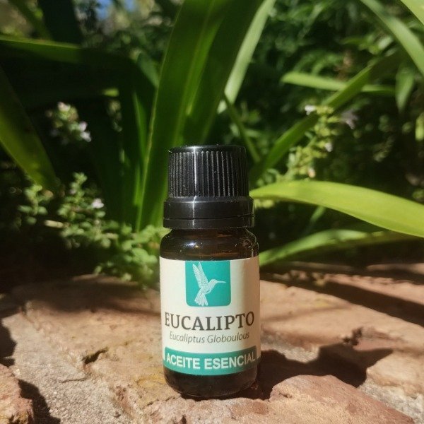Producto - Aceite Esencial Puro de Eucalipto 10 cc - Qori Q'ente
