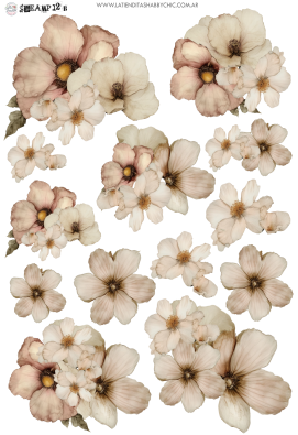 Producto - STEAMPLADY 12B UV