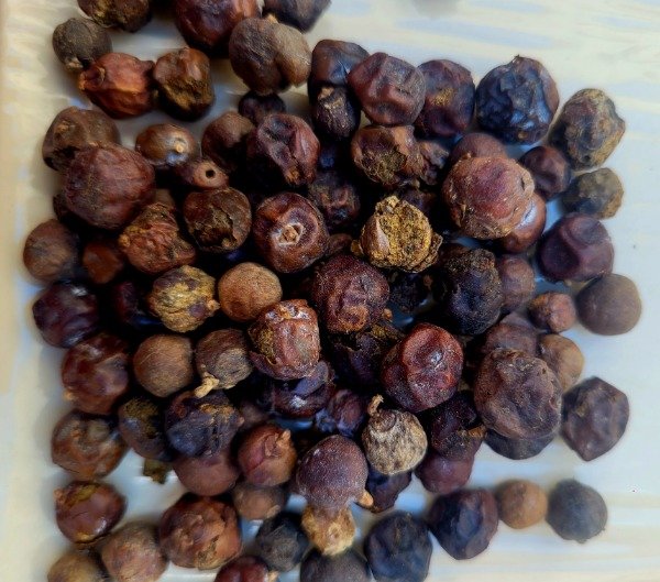 Producto - Bayas de enebro