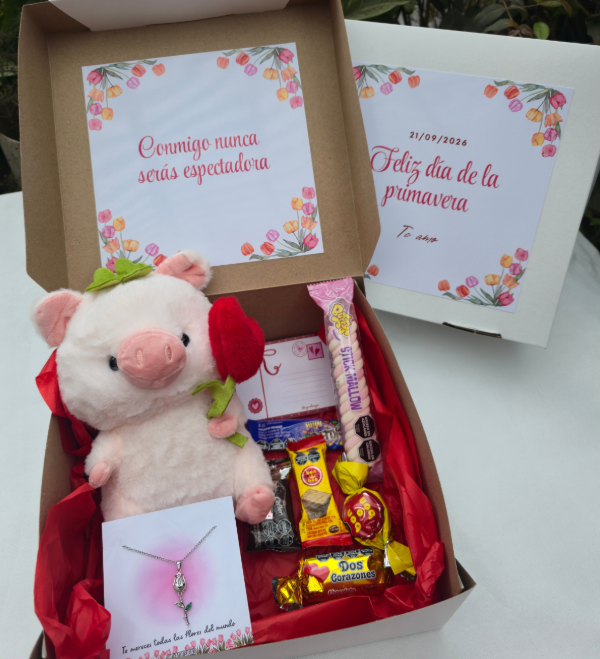 Producto - Box chanchito con flor dia de la primavera - 0