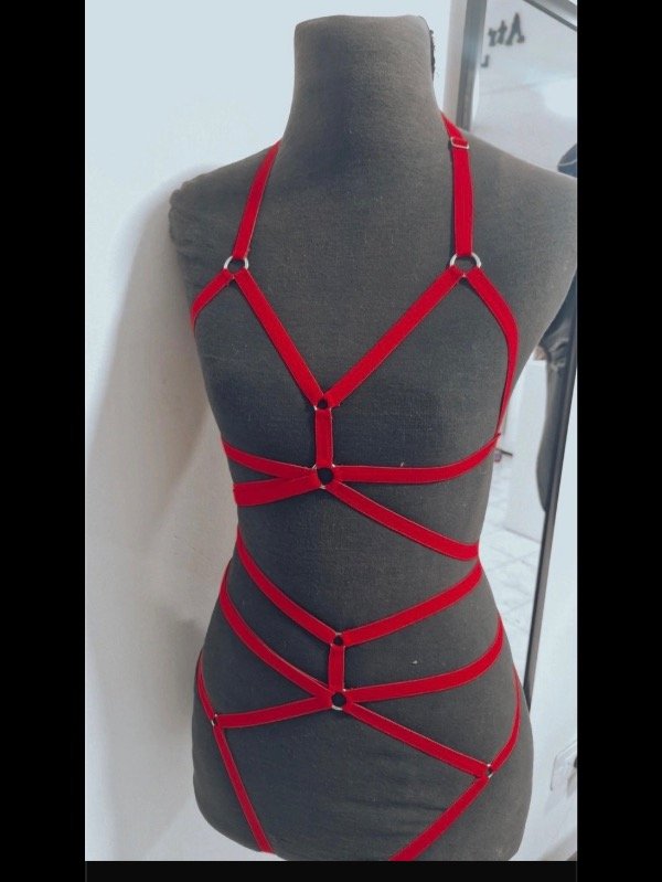 Producto - conjunto arnes