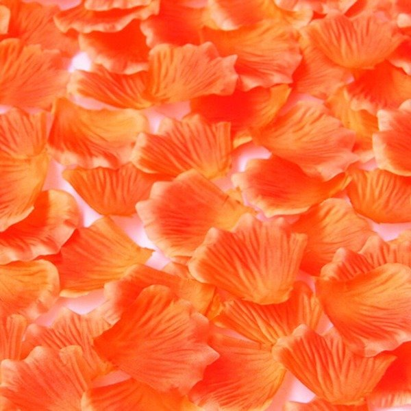 Producto - PETALOS DE ROSA NARANJA x30gr