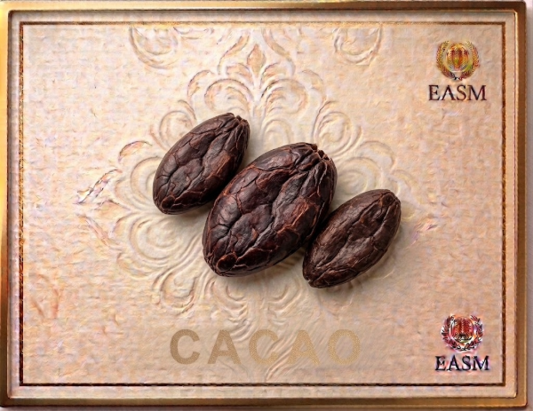 Producto - ES-0015 CACAO