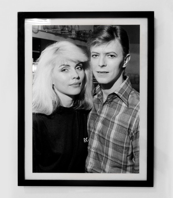 Producto - BLONDIE (Nro 9)