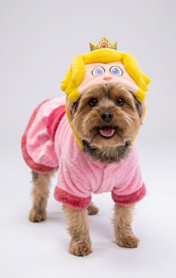 Producto - Buzo Princesa Peach, Mario Bross